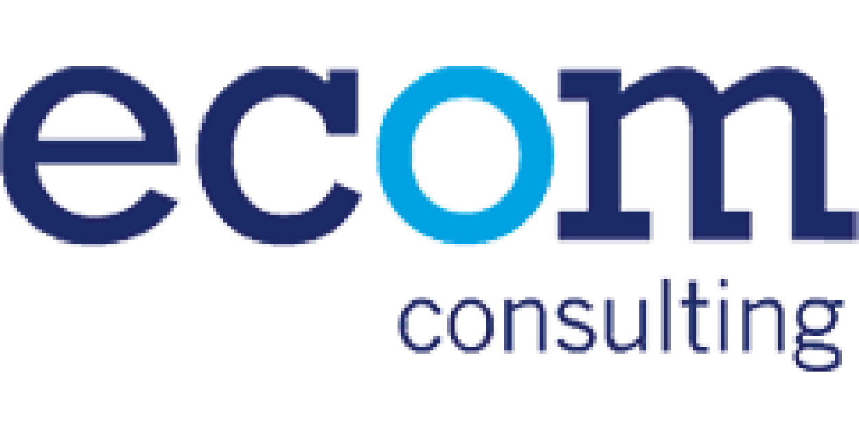 logos_ecom consulting